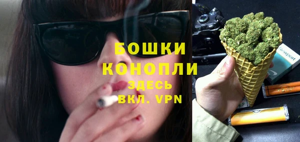 спайс Инсар