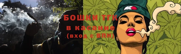 спайс Инсар