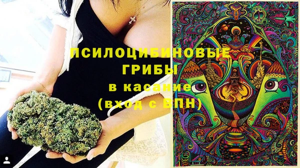 прущий лед Чекалин