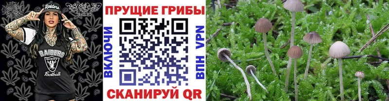 Псилоцибиновые грибы GOLDEN TEACHER  хочу наркоту  Лангепас 