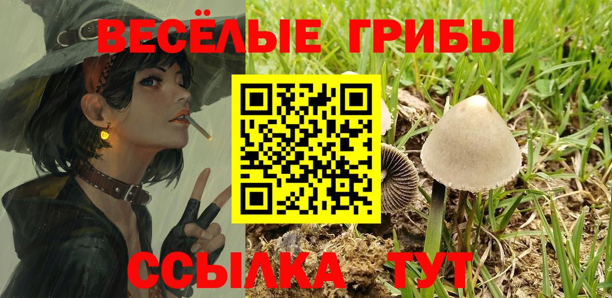 Галлюциногенные грибы Psilocybine cubensis Лангепас